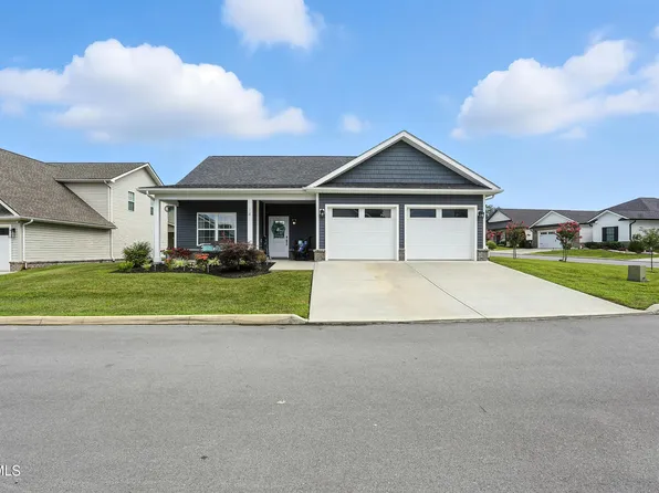 14 Palmetto Ct, Gray, TN 37615