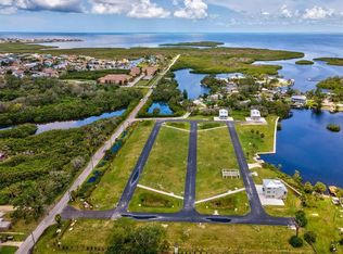4830 Opus Way LOT 29, New Pt Richey, FL 34652