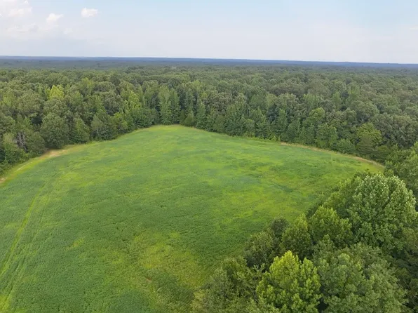 0 Pea Vine Rd S, Middleton, TN 38052