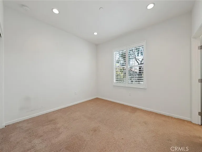 75 Emerald Clover — Photo 19