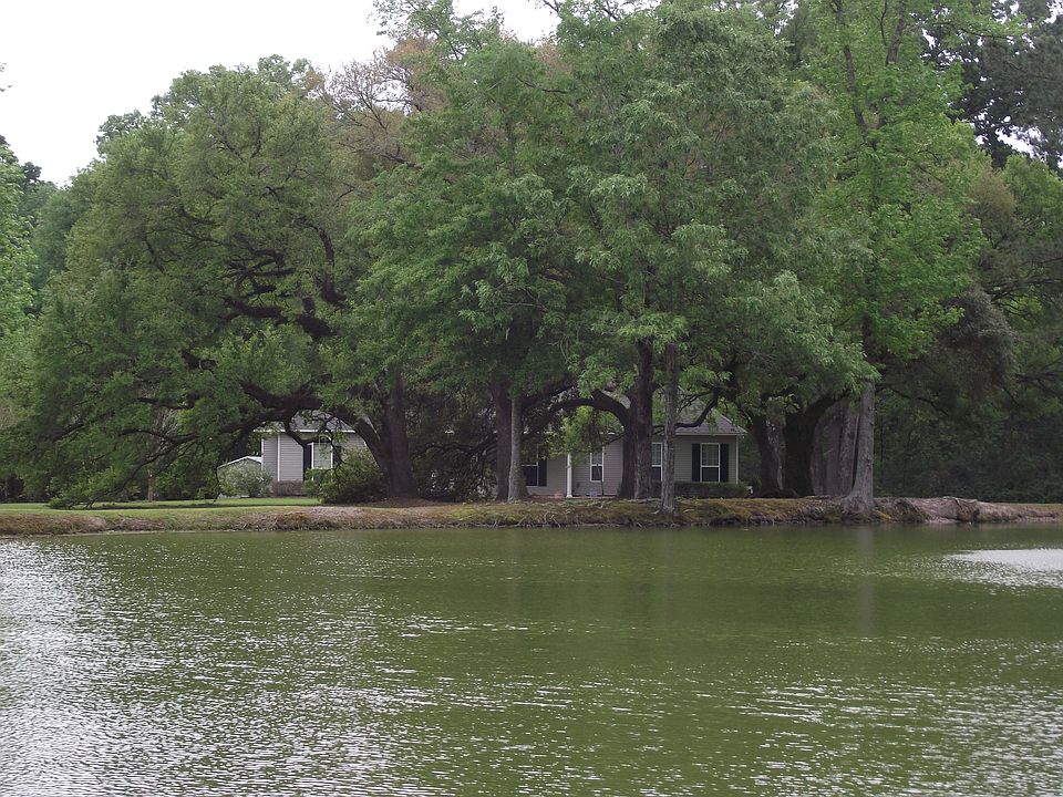 2nd image of 10672 Jacock Rd