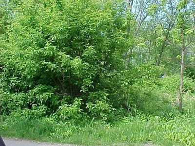 0 Sheffield St, Warwick, RI, 02889