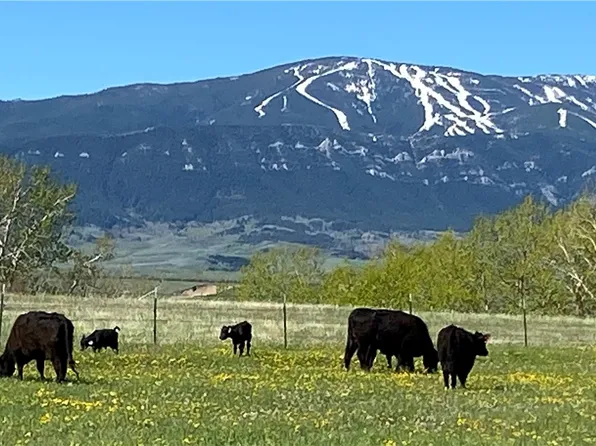 E Bench Rd, Red Lodge, MT 59068