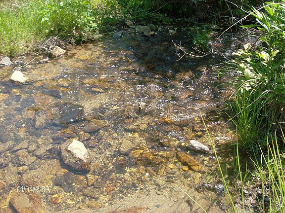 Over 1100 ft. of frontage on this creek