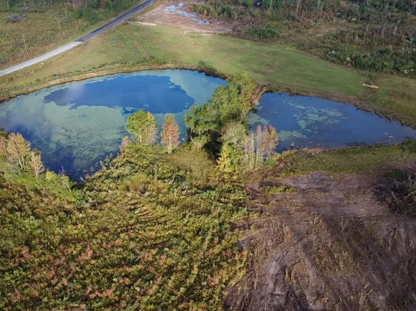 0 William Warren Rd, Collins, MS 39428