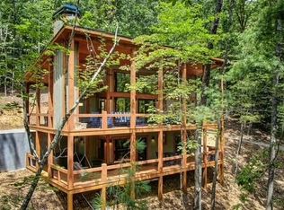 1360 Black Ankle Creek Rd, Blue Ridge, GA 30513