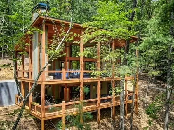 1360 Black Ankle Creek Rd, Blue Ridge, GA 30513