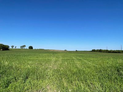 New Haven Site Rd #19, Pine Island, MN, 55963