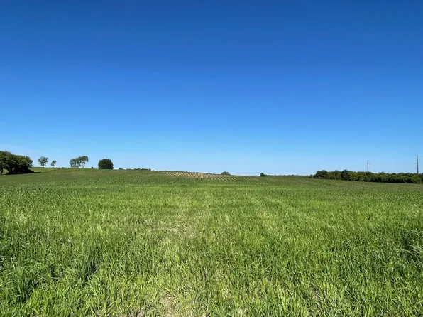 New Haven Site Rd #19, Pine Island, MN 55963