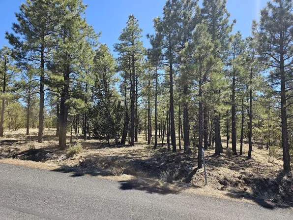 6814 Mogollon Trl, Happy Jack, AZ 86024