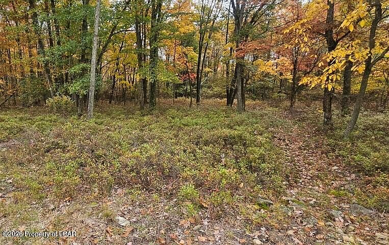 1st image of 151 Mahanoy Mountain Rd