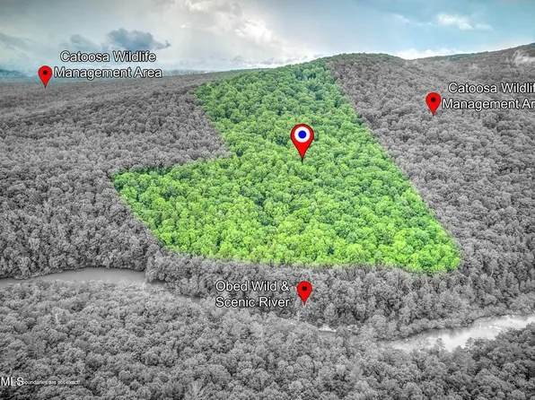 Catoosa Rd, Wartburg, TN 37887
