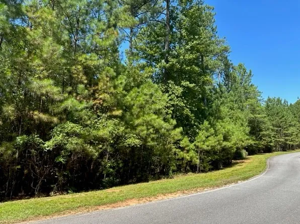 718 Placid Cove Way, Salem, SC 29676