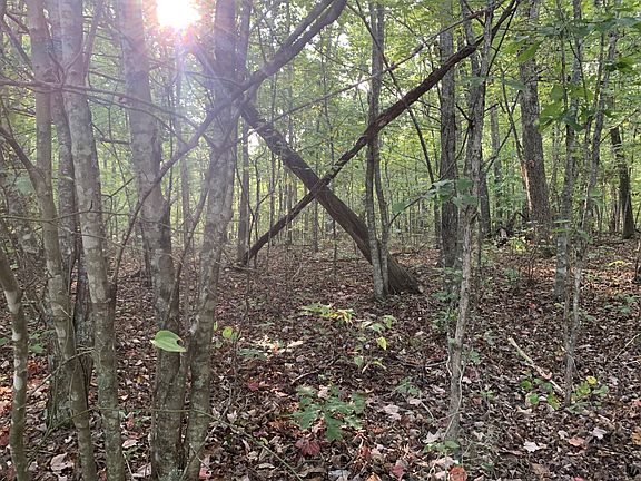 5th image of 0 Forest View Dr Lot 30
