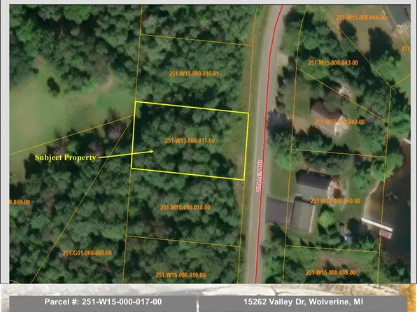 15262 Valley Dr, Wolverine, MI 49799