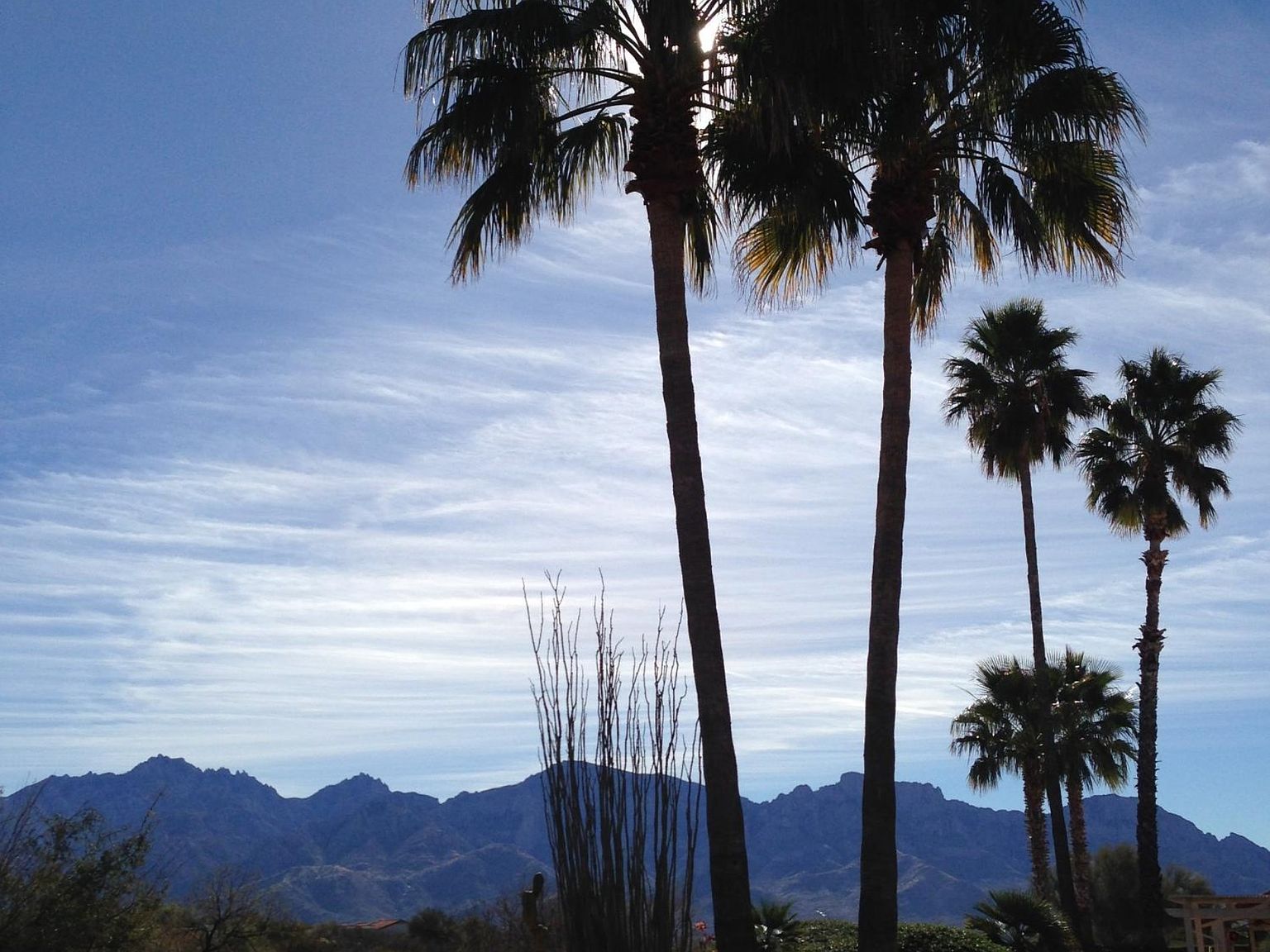 14410 N Choctaw Dr, Oro Valley, AZ 85755 | Zillow