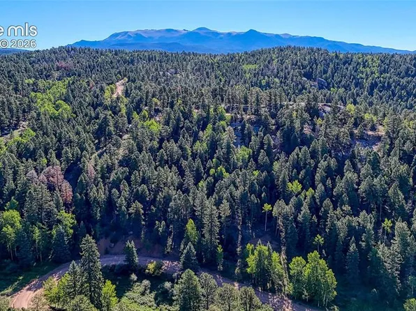 776 Spring Valley Ln, Florissant, CO 80816