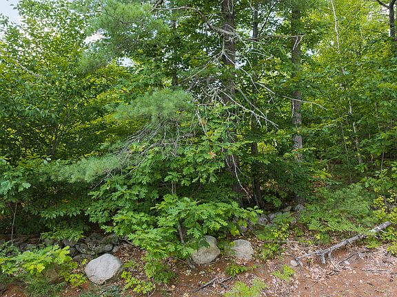 2nd image of Lot 1 Bell Hill Road