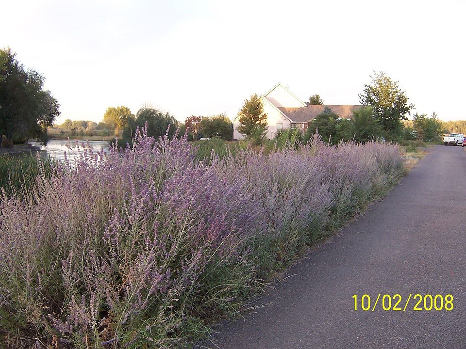 private driveway to house