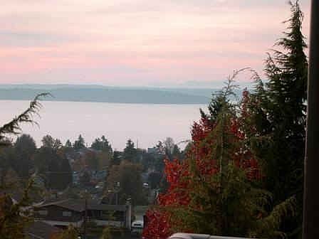 view from private deck