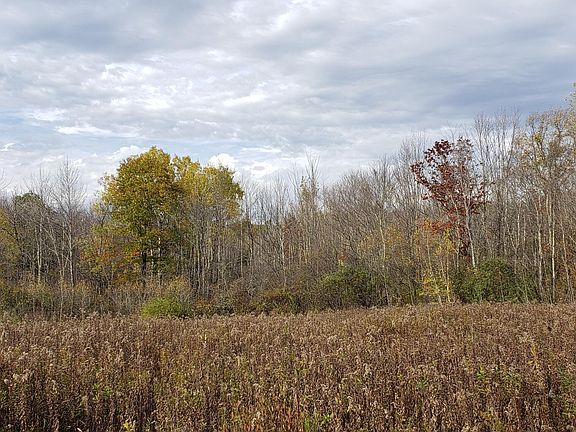 5th image of Robinson Hollow Way