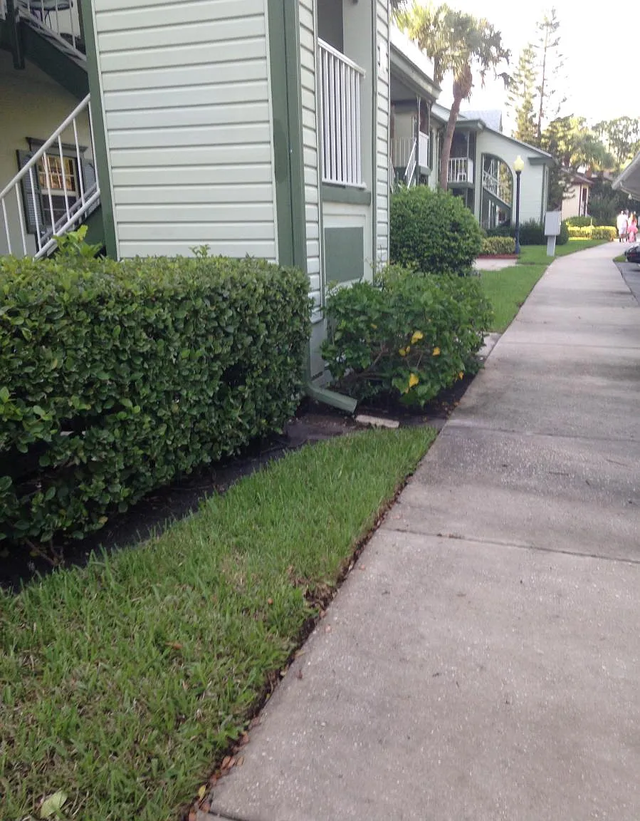 3 bed, 1190 sqft, $2,600 — Photo 4