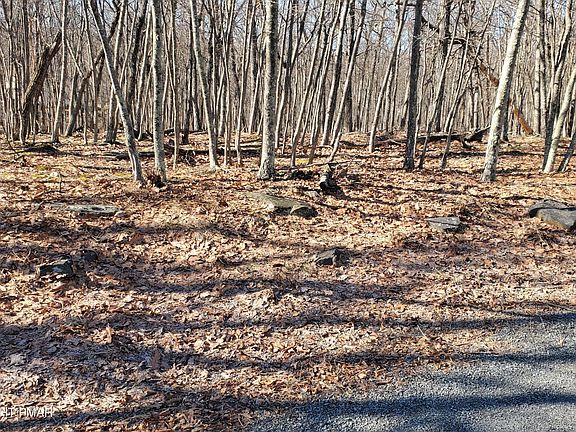 4th image of 155 Cardinal Dr