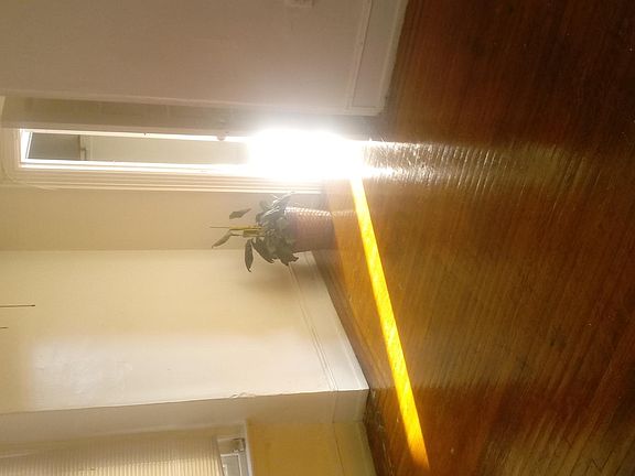 3rd image of 2208 W Tioga St Fl 2nd