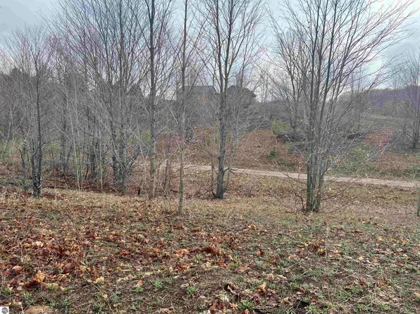 11477 S Little Hampton Dr, Traverse City, MI 49684