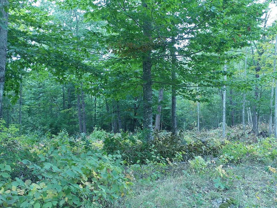 2nd image of 0 Elliots Landing Road