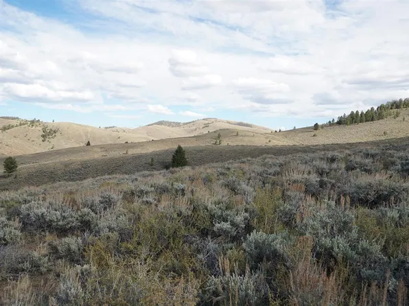 TBD Goose Creek Road, Powderhorn, CO 81243