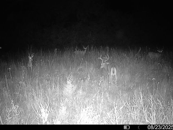 5th image of 23600 S Slick Rd