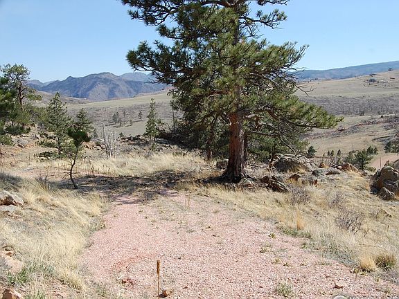 3rd image of 324 Le Conte Dr