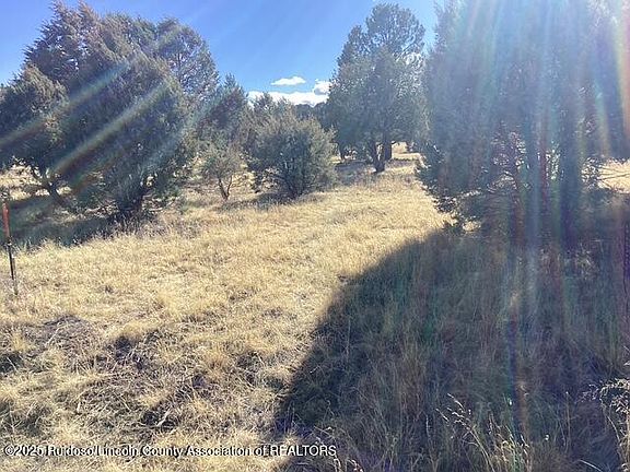 4th image of LOT 225 Antler Dr