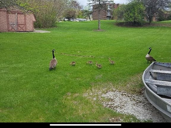 4th image of 905 Westmoreland Dr