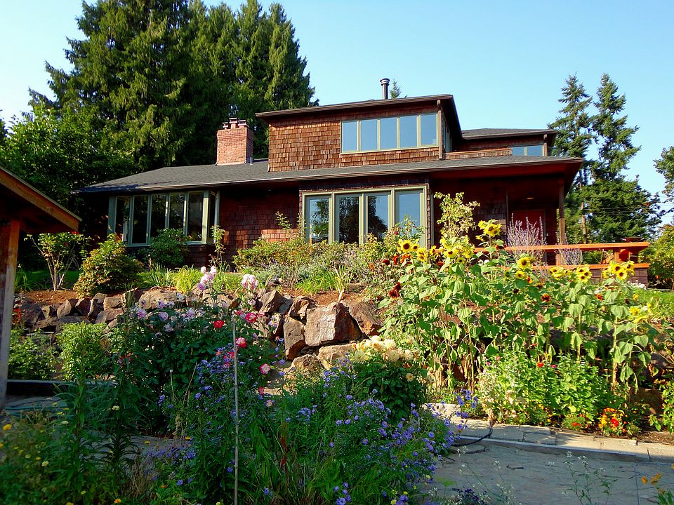 South facing view windows