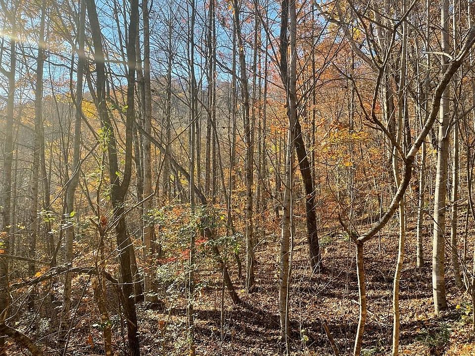 2nd image of LOT-41C Ash Branch Cir