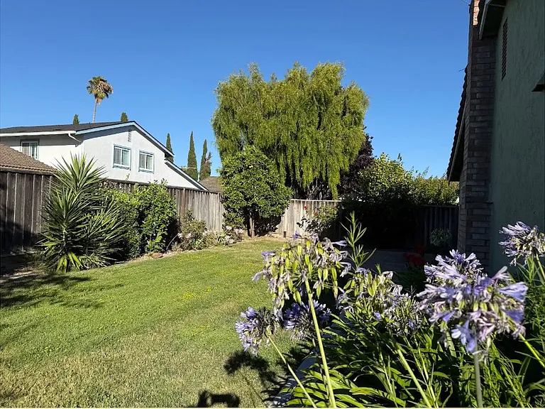 33534 Trinculo Ln — Photo 1