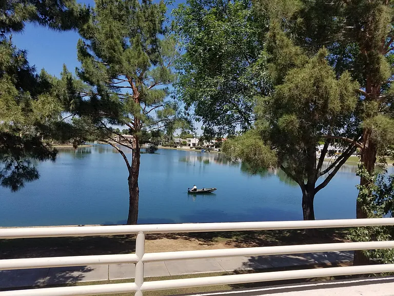 Gorgeous Green Trees and Lake Views
