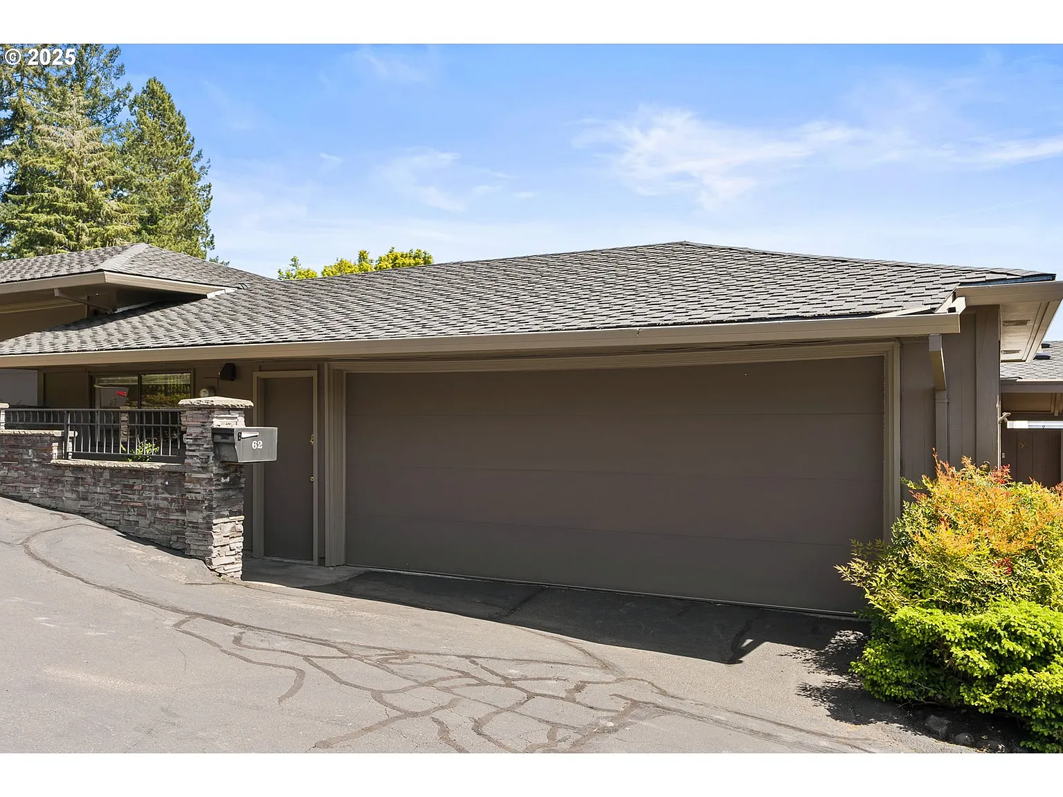 62 Condolea Ter photo 1