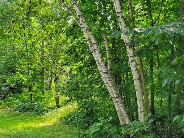 Lot 6 Sanborn Hill Road, Chesterville, ME 04938