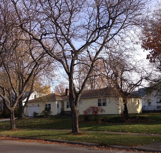 Street view.
