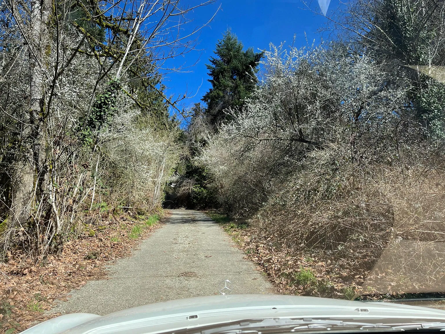 202nd Pl SE, Issaquah — Photo 2