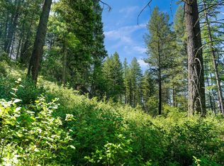 643 Saddlehorn Trl, Bigfork, MT 59911