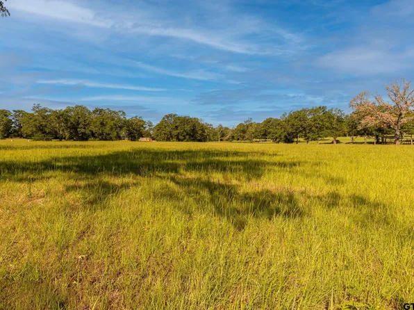 16138 County Road 192, Tyler, TX 75703