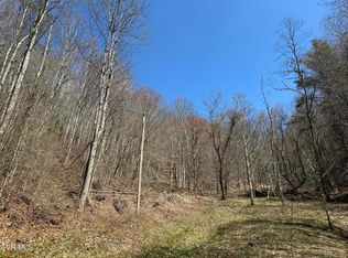 0 Tiger Creek Rd, Roan Mountain, TN 37687