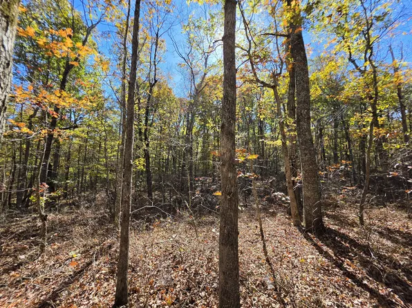 18 Meyers Rd Lot 18, Altamont, TN 37301