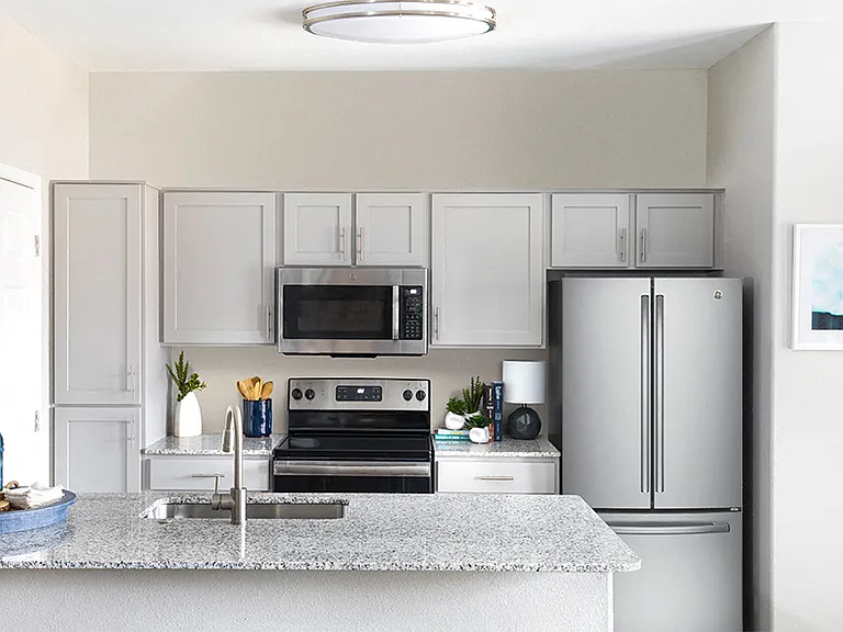 Stainless Steel Appliances