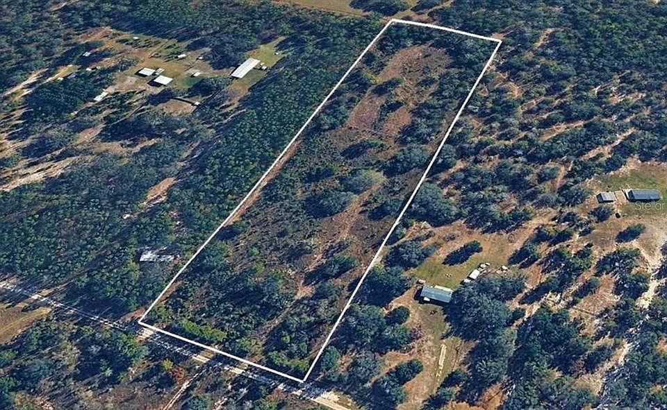 1st image of SW Scout Gln Lot 47