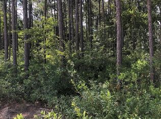 815 Earlie Gaskins Rd, Lenox, GA 31637